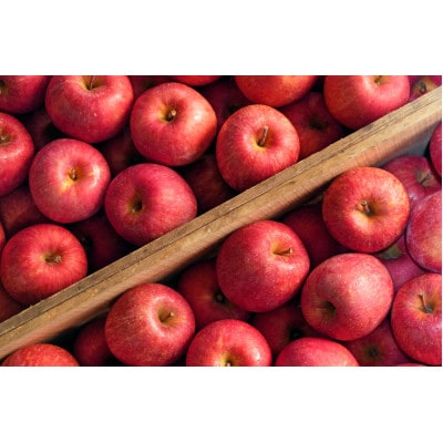 平均糖度13度以上! 有袋ふじ 約5kg 訳あり CA貯蔵 クール便