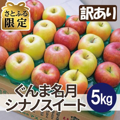 【さとふる限定】糖度13度以上保証! ぐんま名月×シナノスイート 約5kg 訳あり
