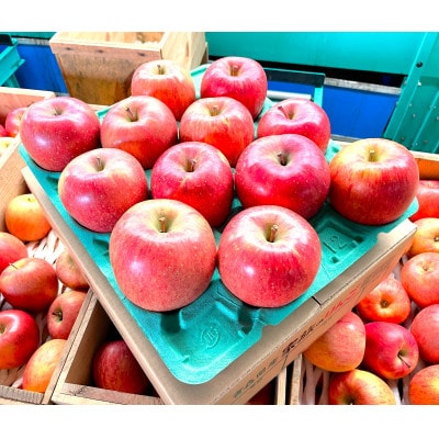 【2025年12月発送予定】平均糖度13度以上! 葉とらずサンふじ 約3kg 訳あり