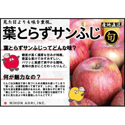 【2025年12月発送予定】平均糖度13度以上! 葉とらずサンふじ 約3kg 訳あり