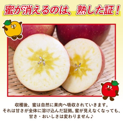 【26年11月～12月発送予定】平均糖度13度以上! 蜜入り おもてなし用葉とらずサンふじ 約3kg