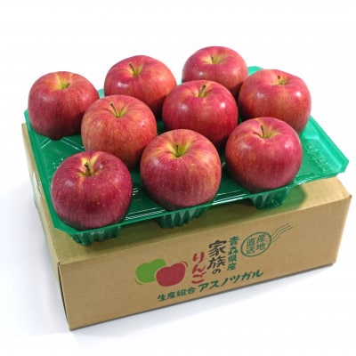 【26年11月より順次発送】平均糖度13度以上!シナノスイートおもてなし用約3kg(6～18玉)