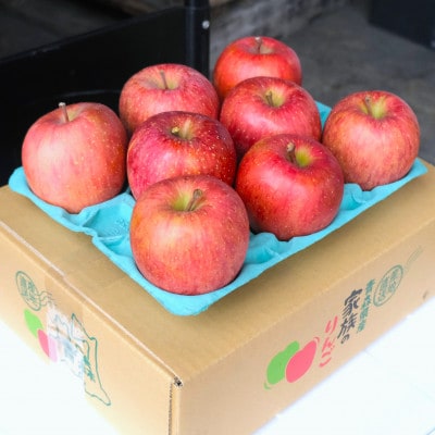 【2025年12月発送予定】糖度13度以上保証!サンふじおもてなし用約3kg(6～18玉)