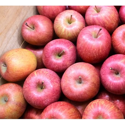 【2025年12月発送予定】糖度13度以上保証!サンふじ約3kg(6～18玉)  訳あり