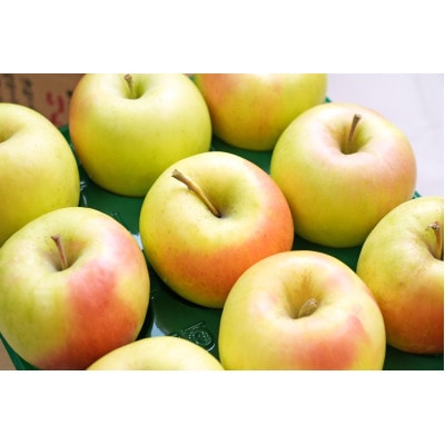 【2025年12月発送予定】糖度13度以上保証!ぐんま名月おもてなし用約3kg(6～18玉)