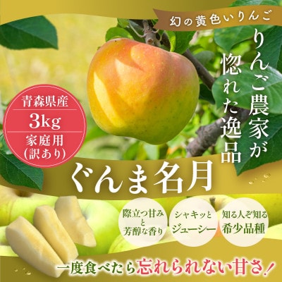 【26年11月~27年3月出荷】平均糖度13度以上! ぐんま名月 約3kg 訳あり りんご 青森県産