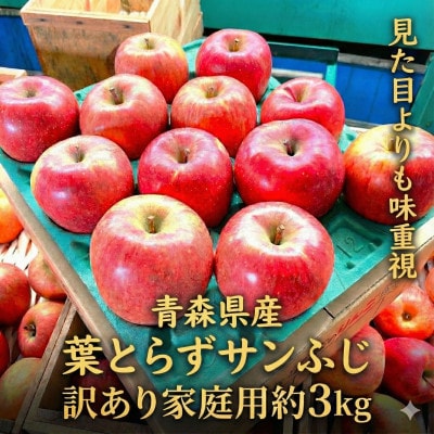 【2026年1月～2月発送予定】平均糖度13度以上! 葉とらずサンふじ 約3kg 訳あり