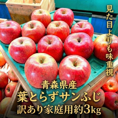 【26年11月から順次発送】平均糖度13度以上! 葉とらずサンふじ 約3kg 訳あり 青森りんご