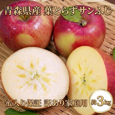 【26年11月から発送】平均糖度13度以上!  蜜入り葉とらずサンふじ 約3kg 訳あり 青森りんご