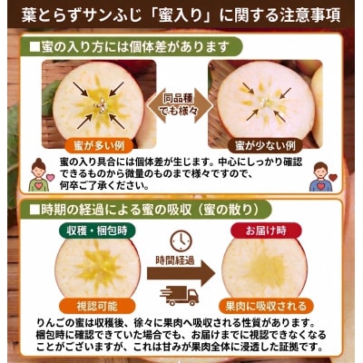 【26年11月から発送】平均糖度13度以上! 蜜入り葉とらずサンふじ 約3kg 訳あり 青森りんご