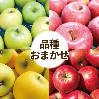 【訳あり】青森県産りんご 品種おまかせ お試しサイズ 約2kg