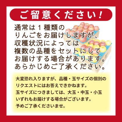 【訳あり】青森県産りんご 品種おまかせ お試しサイズ 約2kg