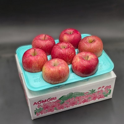 【訳あり】青森県産りんご 品種おまかせ お試しサイズ 約2kg