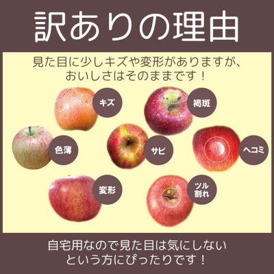 【26年4月出荷予定】平均糖度13度以上! 葉とらずサンふじ 約5kg 訳あり