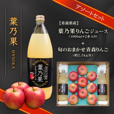 葉とらずりんごジュース2本&家庭用訳あり 青森県産りんご約2.5kg(品種おまかせ)　アソートセット