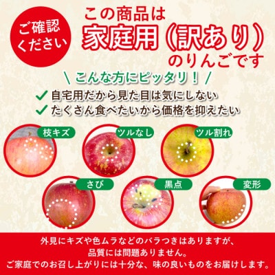 【26年4月より順次発送】平均糖度13度以上! 王林 約3kg 訳あり CA貯蔵 クール便