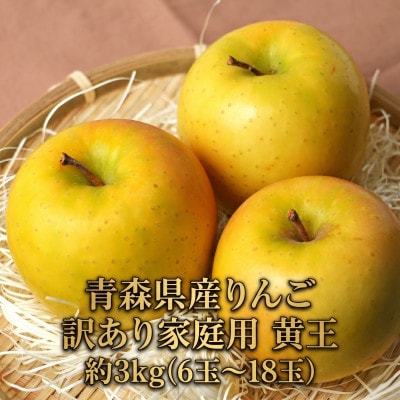 【26年8月下旬から順次発送!】平均糖度12度以上! 黄王 約3kg 訳あり クール便
