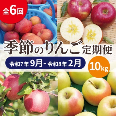 【発送月固定定期便】【25年9月～26年2月】青森りんご 訳あり 品種おまかせ 10kg全6回