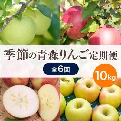 【発送月固定定期便】【26年9月～27年2月】青森りんご 訳あり 品種おまかせ 10kg全6回