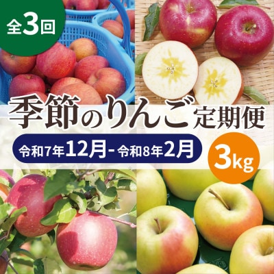 【発送月固定定期便】【25年12月～26年2月】青森りんご 訳あり 品種おまかせ 3kg全3回