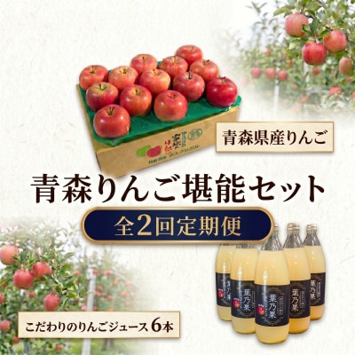 【発送月固定定期便】青森りんご 約3kg+りんごジュース1L×6全2回