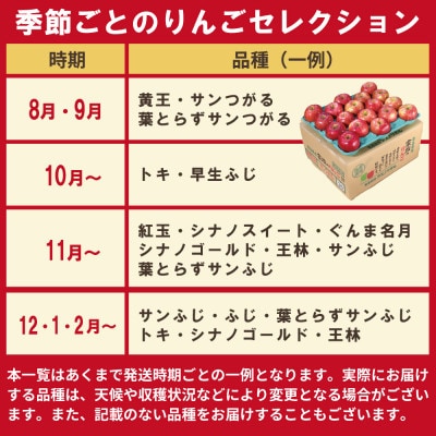 【発送月固定定期便】青森りんご 約3kg+りんごジュース1L×6全2回