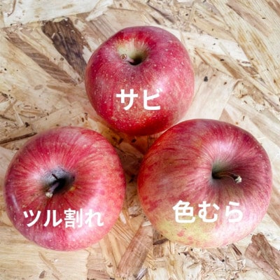 青森県産 産地直送!家庭用 サンふじ 約5kg