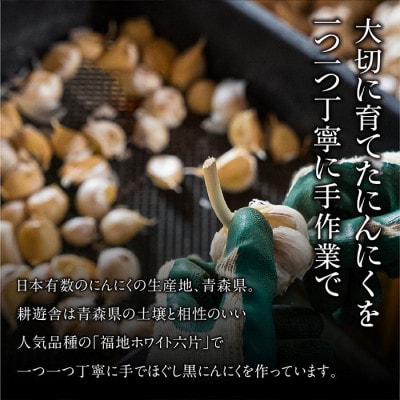 青森県産バラ黒にんにく くろすけ 120g×20袋(合計2.4kg)