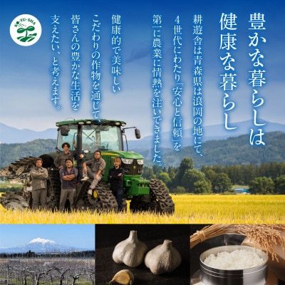 青森県産バラ黒にんにく くろすけ 120g×20袋(合計2.4kg)