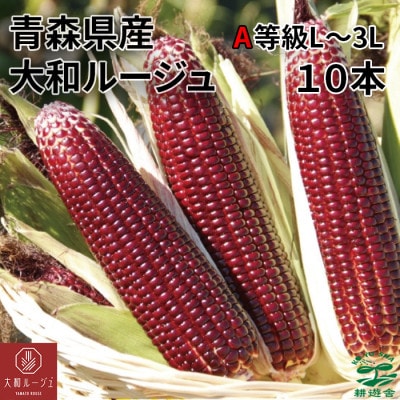 スイートコーン　大和ルージュ　10本