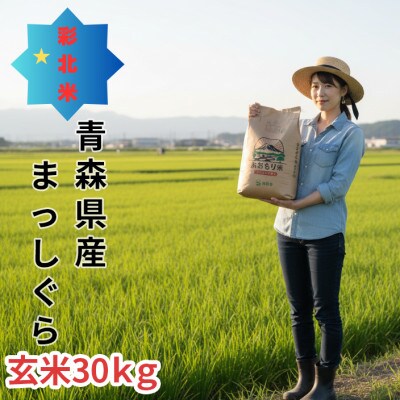 【先行予約受付】令和8年　青森県産まっしぐら　玄米30kg　彩北米