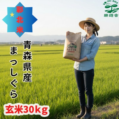 【先行予約受付】令和8年　青森県産まっしぐら　玄米30kg　彩北米