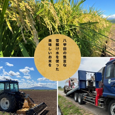 【先行予約受付】令和8年　青森県産まっしぐら　玄米30kg　彩北米