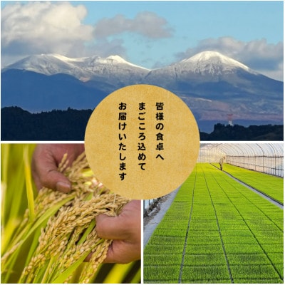 【先行予約受付】令和8年　青森県産まっしぐら　玄米30kg　彩北米