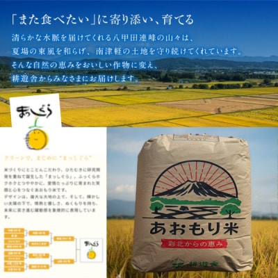 【先行予約受付】令和8年　青森県産まっしぐら　玄米30kg　彩北米