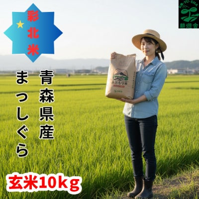 【先行予約受付】令和8年　青森県産まっしぐら　玄米10kg　彩北米