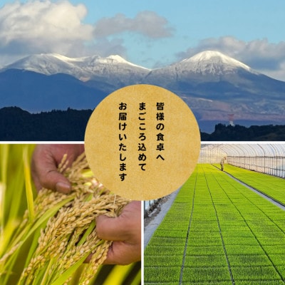 【先行予約受付】令和8年　青森県産はれわたり　玄米10kg　彩北米