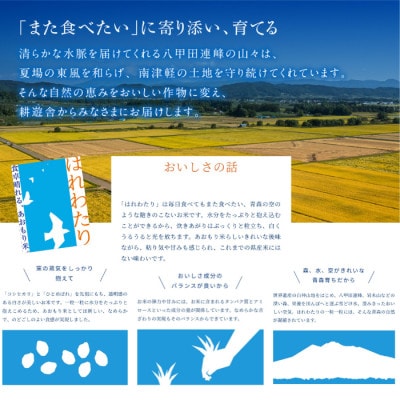 【先行予約受付】令和8年　青森県産はれわたり　玄米10kg　彩北米
