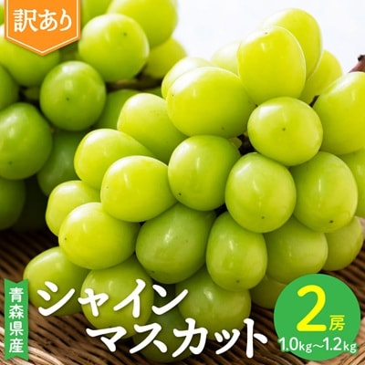 2026年発送【訳あり】青森市産シャインマスカット 2房(1kg以上)