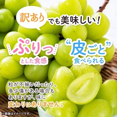 2026年発送【訳あり】青森市産シャインマスカット 2房(1kg以上)