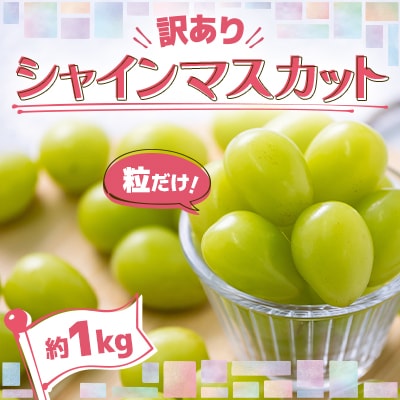 【訳あり】粒だけ!青森市産　シャインマスカット(約1kg)