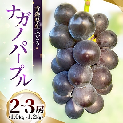 青森県産ぶどう　ナガノパープル　2～3房(1kg以上)