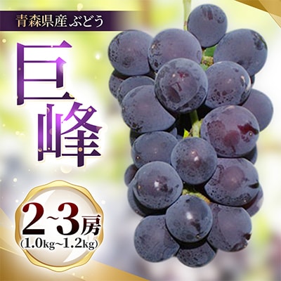 青森県産ぶどう　巨峰　2～3房(1kg以上)