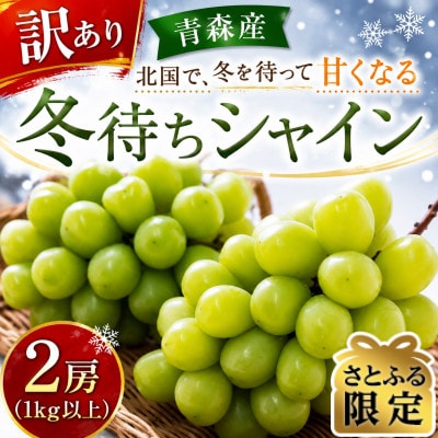 【さとふる限定】青森県産「冬待ちシャイン」2房(計1kg以上)冬に届くシャインマスカット 訳あり