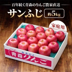 【百年続く青森のりんご農家直送】サンふじ　約5kg　家庭用【12月から発送開始】