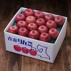 【百年続く青森のりんご農家直送】葉とらずサンふじ　約10kg　贈答用【12月から発送開始】