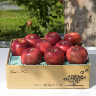 【百年続く青森のりんご農家直送】葉とらずサンふじ 　約3kg　贈答用【12月から発送開始】