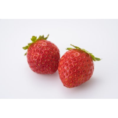 【先着50セット限定】青森県青森市産の夏いちご　400～500g/箱　冷蔵便で直送