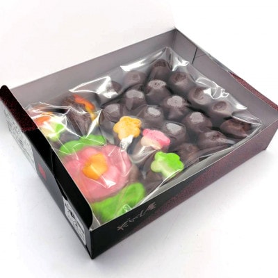 【青森市伝統駄菓子】あん玉くじ(あん玉当て)くじ玉16個+景品菓子6個・ねぶた化粧箱・青森市伝統駄菓