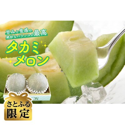【さとふる限定】【青森県発】なみおかメロン(タカミメロン) 2玉